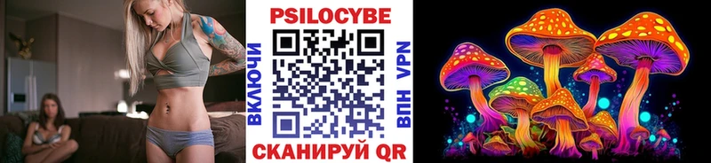 mega онион  сколько стоит  Калач-на-Дону  Псилоцибиновые грибы Magic Shrooms 